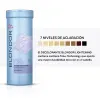 Decolorante Wella Blondor Lightening 400g_4.webp